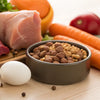 What Did Dogs Eat Before Dog Food? A Journey Through Canine Dietary Evolution