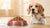 What Do Dog Food Allergies Look Like? Understanding Symptoms, Diagnosis, and Management-141044285679