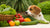 What Do Dogs Eat Other Than Dog Food? A Comprehensive Guide for Pet Owners-140139626735