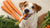 What Do Dogs Like to Eat Besides Dog Food? A Comprehensive Guide for Pet Owners-140213223663