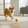 What Does a Dog's Diet Consist Of?