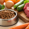 What Does Grain-Free Dog Food Mean? Everything You Need to Know