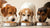 What Dog Eats the Most Food? Understanding the Beasts of the Canine World-140213518575