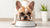 What Dog Food Can Frenchies Eat? A Comprehensive Guide for Proud Pet Parents