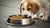 What Dog Food Do Vets Recommend for Puppies: A Comprehensive Guide