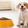 What Dog Food for Puppies: The Ultimate Guide to Nourishing Your New Best Friend