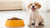 What Dog Food for Puppies: The Ultimate Guide to Nourishing Your New Best Friend