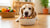 What Dog Food Helps with Allergies: A Comprehensive Guide for Pet Owners-141044875503