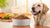 What Dog Food is Allergy Free: A Comprehensive Guide for Pet Owners