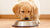 What Dog Food is Best for Golden Retriever Puppy: A Comprehensive Guide