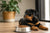 What Dog Food is Best for Rottweiler Puppies