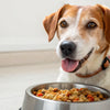 What Dog Food Puts Weight on Dogs: A Comprehensive Guide for Pet Owners