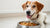 What Dog Food Puts Weight on Dogs: A Comprehensive Guide for Pet Owners