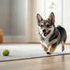 What Dog is Easy to Take Care Of? A Comprehensive Guide to Low-Maintenance Breeds