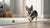 What Dog is Easy to Take Care Of? A Comprehensive Guide to Low-Maintenance Breeds