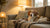 What Dogs Don’t Need a Lot of Exercise: Finding the Perfect Couch Companion