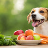 What Else Can Dogs Eat Besides Dog Food: A Safe Guide