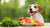 What Else Can Dogs Eat Besides Dog Food? A Comprehensive Guide for Pet Parents