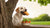 What Fast Food Can My Dog Eat? A Guide for Loving Pet Owners