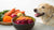 What Fermented Foods Can Dogs Eat: A Guide to Gut Health for Your Canine Companion-140138217711