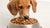 What Flavor Dog Food is Best for Allergies: A Comprehensive Guide for Pet Owners-141217464559