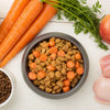 What Food Can Dogs Eat Besides Dog Food? A Comprehensive Guide