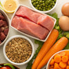 What Food Can I Feed My Dog to Gain Weight?