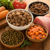 What Food Can I Give My Dog to Gain Weight: A Comprehensive Guide for Pet Owners