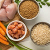 What Food Can Puppy Dogs Eat: A Complete Guide for Pet Parents