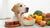 What Food Dogs Cannot Eat: A Comprehensive Guide for Pet Owners-140130648303