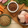 What Food Dogs Like to Eat: A Comprehensive Guide to Nourishing Your Canine Companion