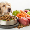What Food for Dog to Gain Weight: A Comprehensive Guide for Pet Parents