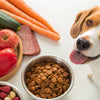 What Food is Bad for a Dog to Eat: A Comprehensive Guide for Pet Owners