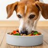 What Food is Best for Senior Dogs: A Comprehensive Guide to Optimal Nutrition
