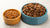 What Food is Better for Dogs: Dry or Wet?