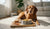 What Food is Good for a Dog with Allergies? A Comprehensive Guide