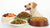 What Food Should Dogs Eat? A Comprehensive Guide to Canine Nutrition