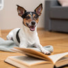 What Food Should Dogs Not Eat? A Comprehensive Guide for Pet Owners