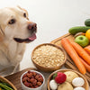 What Food That Dogs Can't Eat: Your Guide to a Safe Kitchen