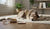 What Food to Feed Dog with Allergies: A Comprehensive Guide