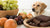 What Foods a Dog Cannot Eat: A Comprehensive Guide for Pet Owners