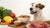 What Foods Are Dogs Not Supposed to Eat? A Comprehensive Guide for Pet Owners-140406587631