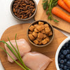 What Foods Are Good for Dogs to Eat? A Comprehensive Guide for Pet Parents