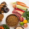 What Foods Can Boxer Dogs Eat: A Guide to Better Nutrition