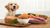 What Foods Can Dogs Eat? A Comprehensive Guide to Sharing Your Table with Your Pup-140407701743
