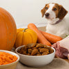 What Foods Can Dogs Eat for Thanksgiving: A Complete Guide for Dog Owners