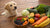 What Foods Can Dogs Eat Safely? A Comprehensive Guide for Pet Owners