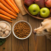 What Foods Can Dogs Eat That Humans Eat? A Comprehensive Guide for Pet Owners