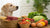 What Foods Can Dogs Not Eat at All: A Comprehensive Guide for Pet Owners
