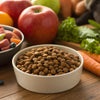 What Foods Put Weight on Dogs: A Comprehensive Guide for Pet Parents
